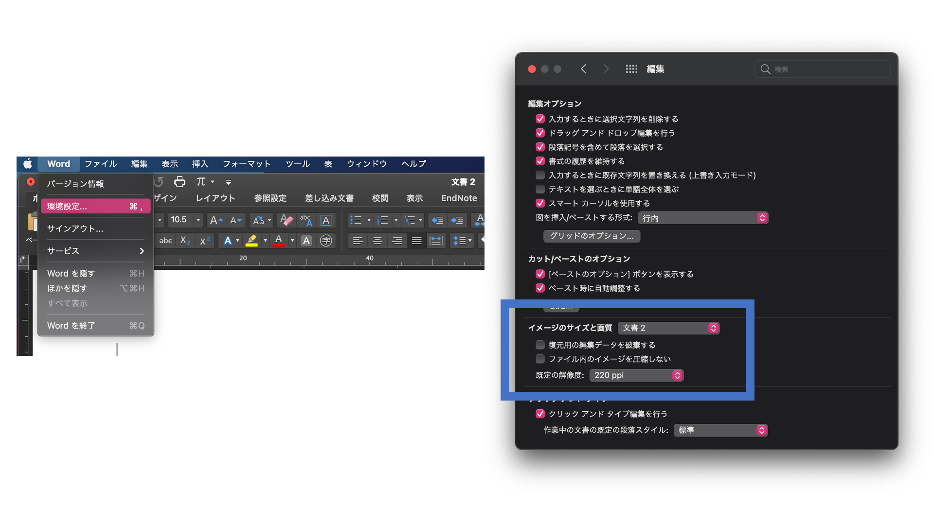 Office for Macでの図の圧縮を無効にする設定方法の図